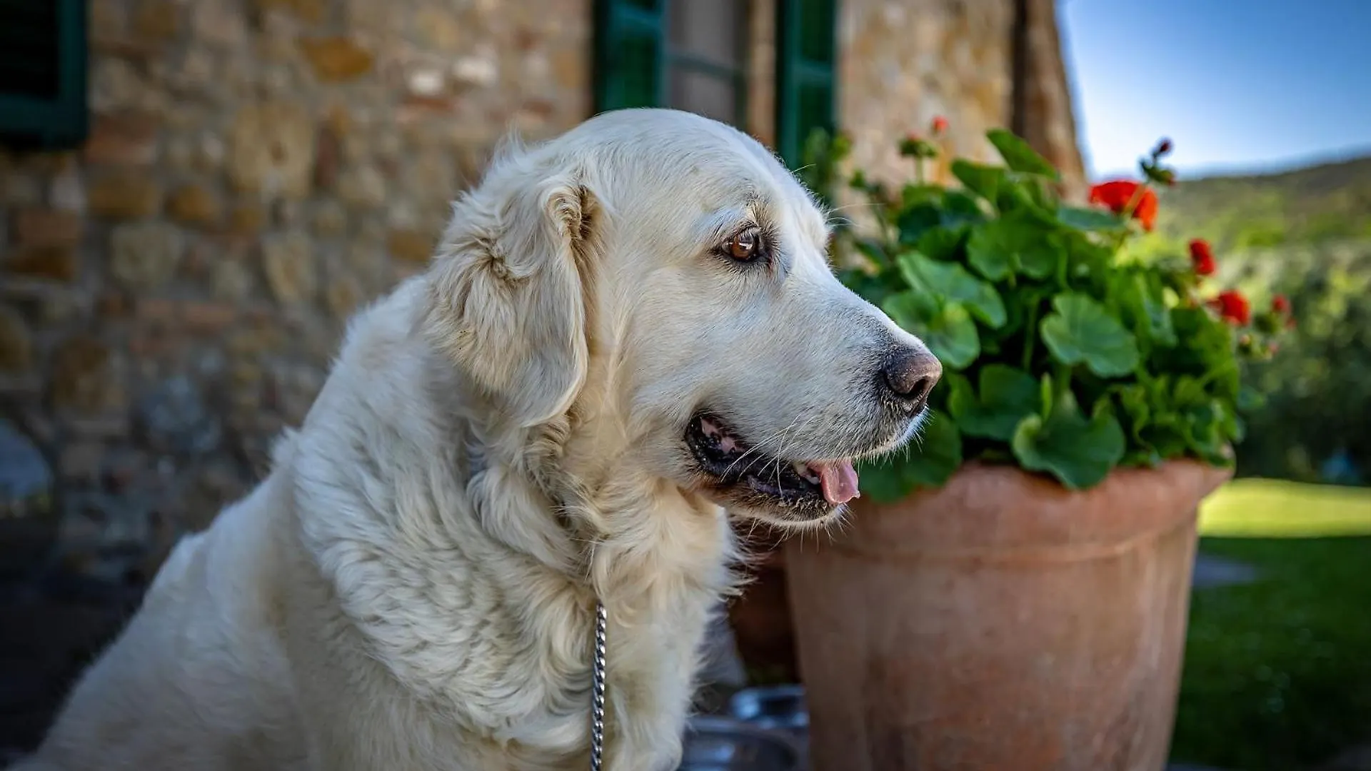 Bed & Breakfast La Fornace Di Racciano Guest House San Gimignano